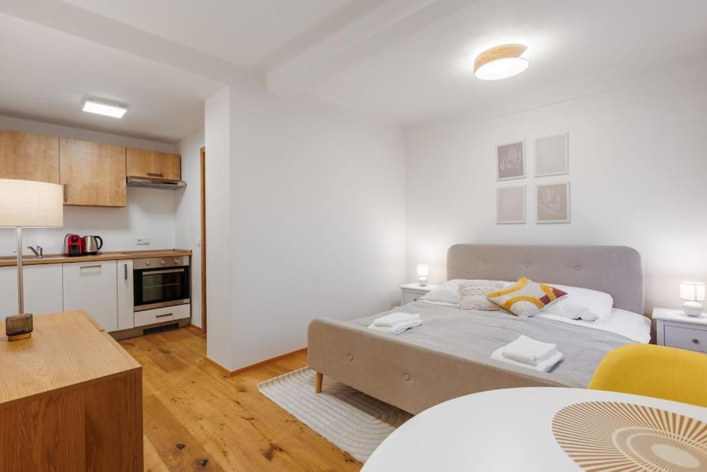 Apartment 1 Bedroom With Terrace And View